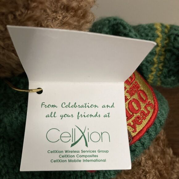 GUND 100 YEARS CELEBRATION Teddy Bear 9676 PLUSH 1998 NWT GREEN SWEATER - Picture 16 of 16